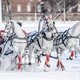 Чемпионат русских троек на Центральном московском ипподроме / Фотограф: Мария Чулкова