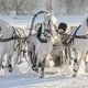 Чемпионат русских троек на Центральном московском ипподроме / Фотограф: Мария Чулкова