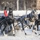 Чемпионат русских троек на Центральном московском ипподроме / Фотограф: Мария Чулкова