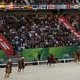 Показательное шоу ахалтекинцев на Всемирных конных играх