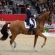 Международное конное шоу Equita Lyon