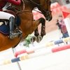 Международные соревнования по конкуру CSI 3* - в Maxima Stables!