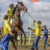 На Краснодарском ипподроме разыграли Осенний приз