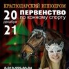 Новогоднее первенство на Краснодарском ипподроме!