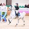 Международные соревнования CSI-1*/J/Ch в Maxima Stables: Итоги первого дня