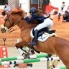 Maxima Stables отменили несколько международных турниров