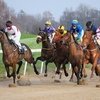 Павловский ипподром открыл скаковой сезон без зрителей