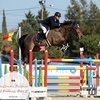 Международный турнир по конкуру прошел в Фонтенбло