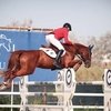 Владимир Туганов в призах на турнире CSI4* в Португалии 