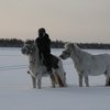 Верховое путешествие вокруг Земли 