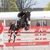 Тим Прайс выиграл CCI4*-L в польском Стшегоме 