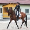 Александр Марков второй по итогам первого дня CCI4*-S в Ратомке