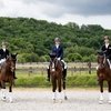 В Харькове в VG Horse Club проходит этап Кубка мира по выездке 