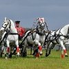 Первый чемпионат русских троек «Крылатое сердце России» пройдёт на МКЗ №1