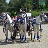 Первый чемпионат русских троек «Крылатое сердце России» прошёл на МКЗ 