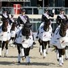 Команда Германии завоевала золото чемпионата Европы по выездке 2021