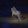 Equitana готовится отметить 50-летний юбилей 