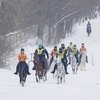 В КСК «Отрада» пройдет турнир по пробегам 