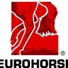 Международная выставка Eurohorse