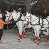 Птица тройка с Олимпийским огнем