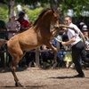 Прошёл чемпионат «Восходящая звёздочка Терского»