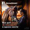 Horsesmart – Маркетплейс для всадников