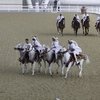 CHI Al Shaqab: Восточный размах