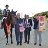 Международные соревнования по конкуру CSI4*/CSIYH1* «Виват, Россия!»: первый день