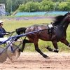 У Нижегородского ипподрома новый владелец