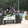 CSI 3*-W Кубок Губернатора Ленинградской области