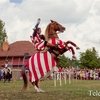 Рыцари и их кони, конная гвардия и прочие гости из прошлого в один июльский выходной