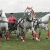 Лучшие русские тройки были названы в Костроме