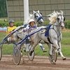 Курганский ипподром завершает сезон