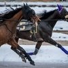 Бега в российской столице