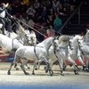 Первый крупный турнир по конкуру в Новом году стартует в Швейцарии