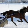 Старт зимнего бегового сезона на Нижегородском ипподроме