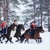 Зимняя конная псовая охота прошла в Подмосковье