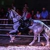 Рим готовится к красочному конному шоу