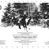 В Подмосковье пройдет первый турнир в конное поло зимнего сезона
