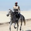 Красный свет дистанционным конным пробегам в ОАЭ