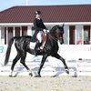 В КСК "Виктория" проходят международные старты для юношей и юниоров