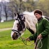 18 конных шоу пройдет летом в Москве