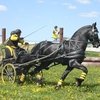 Определились победители Кубка России по драйвингу!