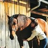 10 секретов лошадиного похудения