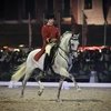 Национальная конная выставка в Португалии