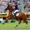 Флора де Марипоза – лошадь года во Франции