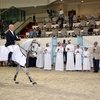 CSI4*-W Doha 2015: Владимир Туганов снова в призах!