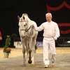 Danish Warmblood National Stallion Horse Show 