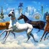 Международный «конкурс красоты» среди ахалтекинских лошадей будет проведен в Ашхабаде