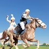 В Казахстане начался чемпионат по национальным видам конного спорта